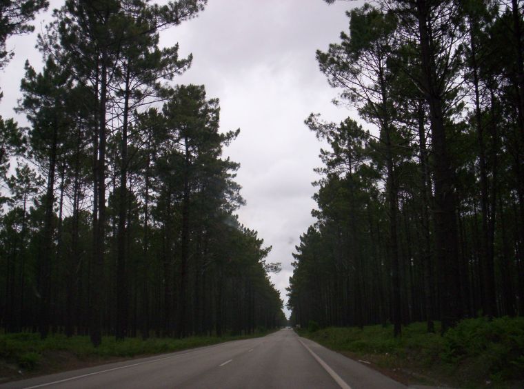 marinha-grande-2009-10