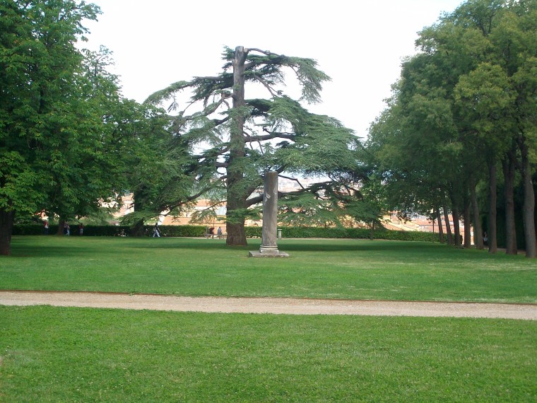 SANYO DIGITAL CAMERA