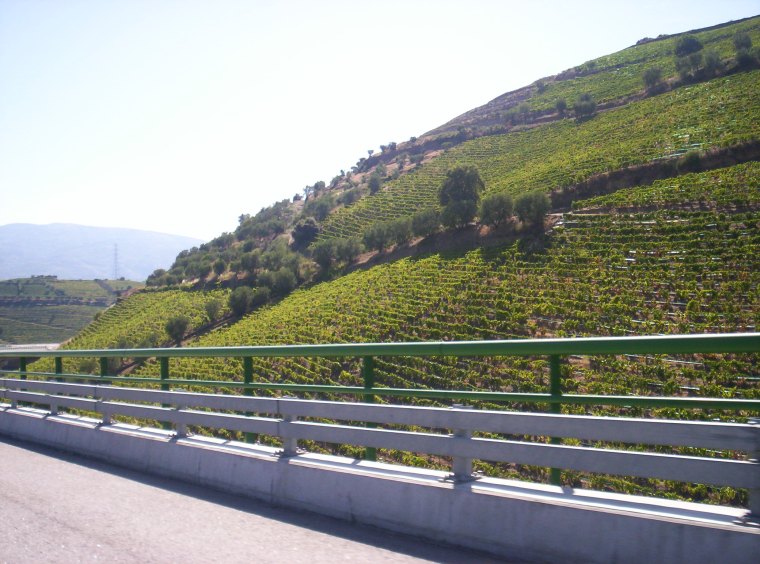 Douro 3 a 5 Agosto 2009 105