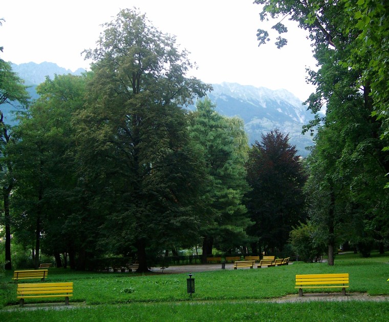 SANYO DIGITAL CAMERA